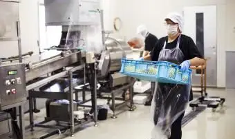 Pracovníci v továrni na výrobu sobských rezancov