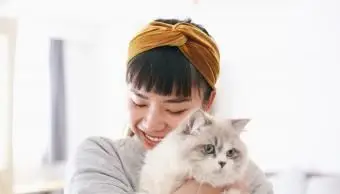 Milieu du Ciel en Poissons : Carrières et Créativité