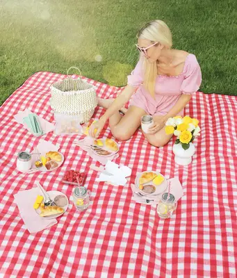 Be Ready For A Picnic With A Car Picnic Basket!