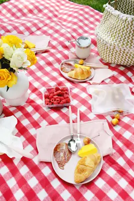Be Ready For A Picnic With A Car Picnic Basket!