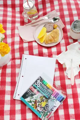 Be Ready For A Picnic With A Car Picnic Basket!