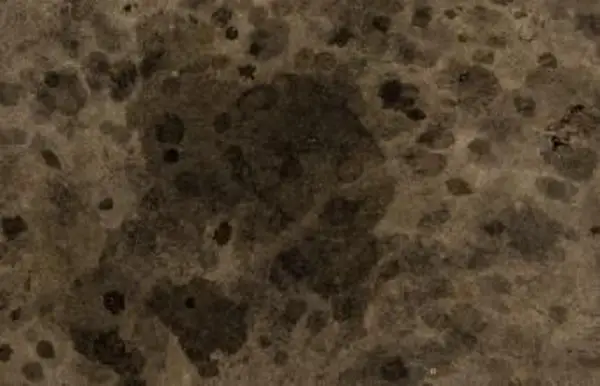 מדרכה מוכתמת בשמן ישן