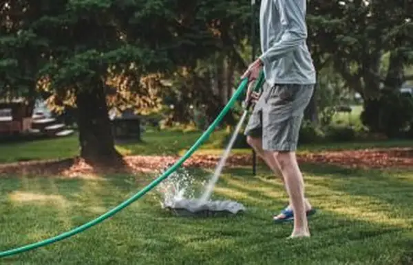 ガーデンホース付きのきれいなバードバス