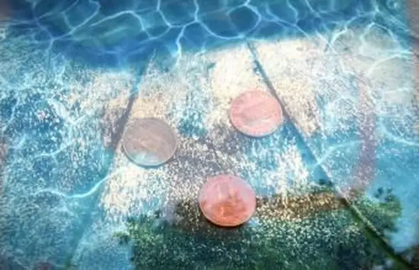 バードバスのクーパーペニー