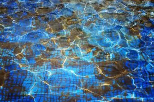 Grunge d'algues vertes avant de nettoyer la piscine carrelée