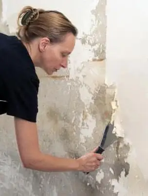 壁紙のりの除去