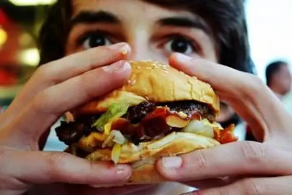 adolescent, manger, hamburger