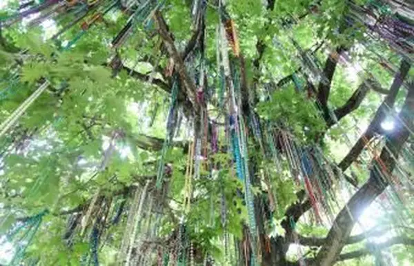 뉴 올리언스 마디 그라 트리