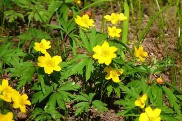 노란색 아 네놈