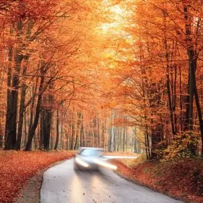 Guida autunnale
