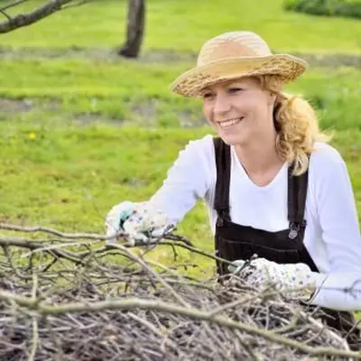 manutenzione del cortile autunnale