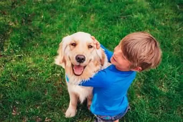 10 גזעי הכלבים הטובים ביותר למשפחתך