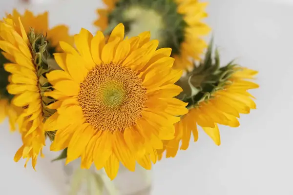 Fujifilm X-T2 Review