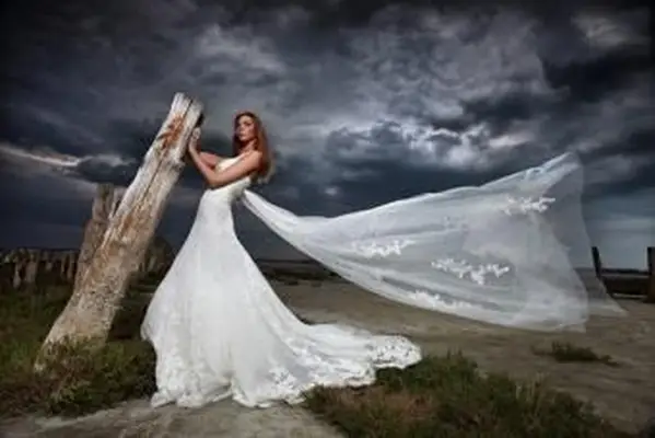 https://cf.ltkcdn.net/photography/images/slide/217576-704x469-Stunning-Bridal-Shot-With-Natural-Background.webp