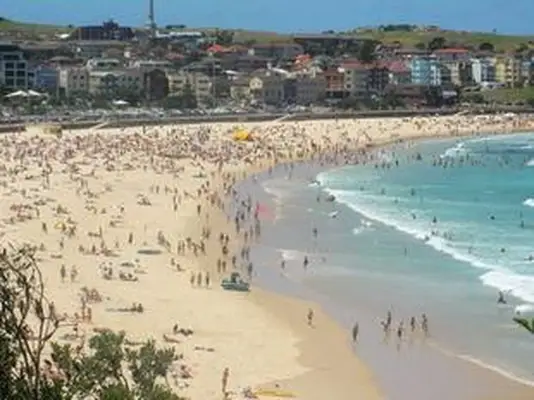 率直なビーチカメラ