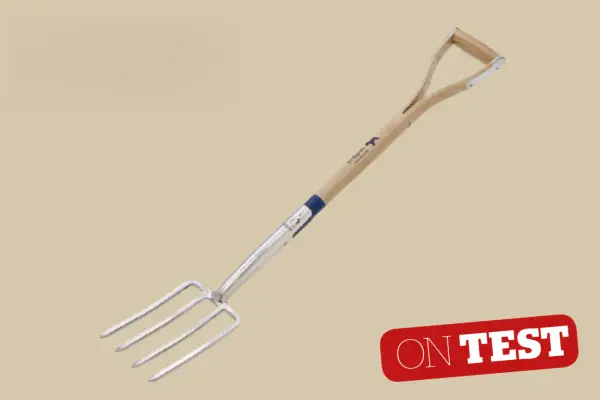 Recenzja widela granicznego rodowodu