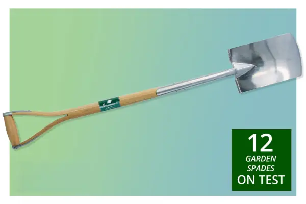 אדי הגן הטובים ביותר בשנת 2024