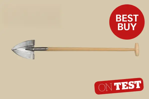 Sneeboer a indicat Spade cu revizuirea pașilor