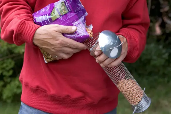 Zahradní práce na divoké zvěře pro leden