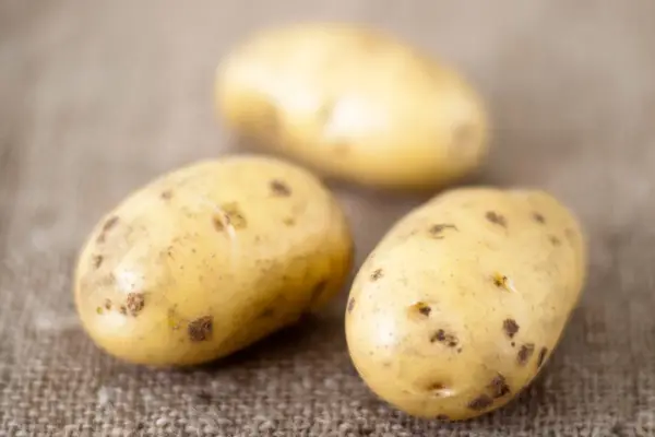Early potatoes