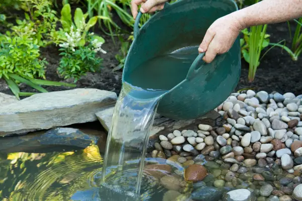 Topping up the garden pond.