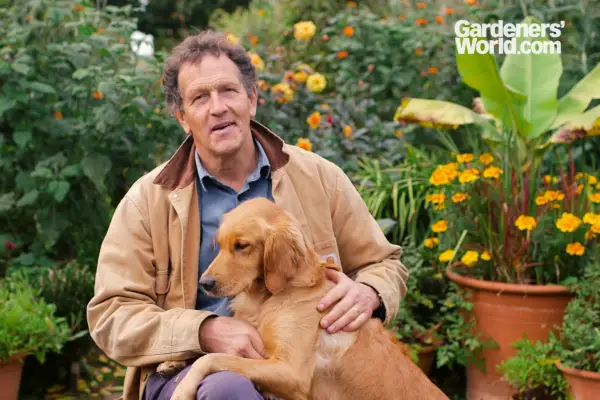 Longmeadow în toamnă - Abonat Club exclusiv