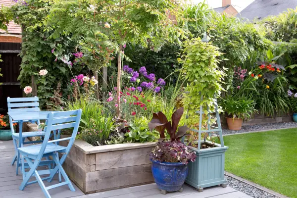 Mark Hampson Small Space Garden category runner up Gardeners World Garden of the Year Competition 2017 private privacy square lawn grass slate gravel path pathway decking seat seating chair chairs raised bed beds pot pots Lilium lilies lily Dianthus carnation Koelreuteria paniculata pride of India golden rain tree Phlox Canna clematis on obelisk 150717 15072017 15/07/17 15/07/2017 15 15th July 2017 Summer Bedford Bedfordshire photographer Sarah Cuttle