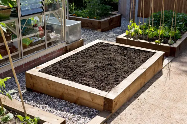 Freshly filled raised beds