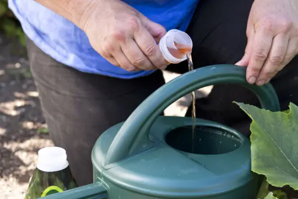 adding-feed-to-a-watering-can-2
