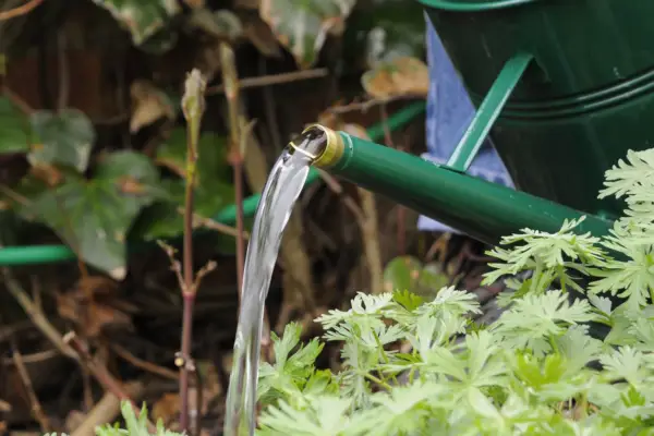 water-pouring-from-spout-of-watering-can-2