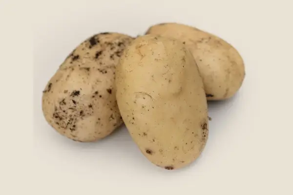 International Kidney