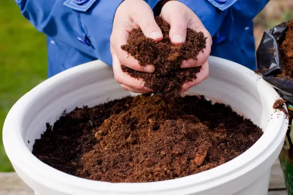 Adding compost to a large planter