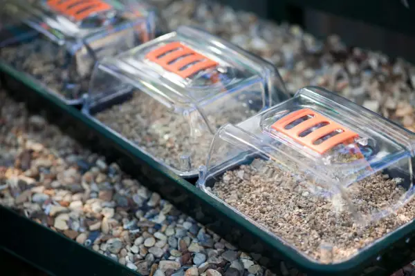 Propagators with their vents open