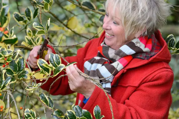 Pruning out dead branches