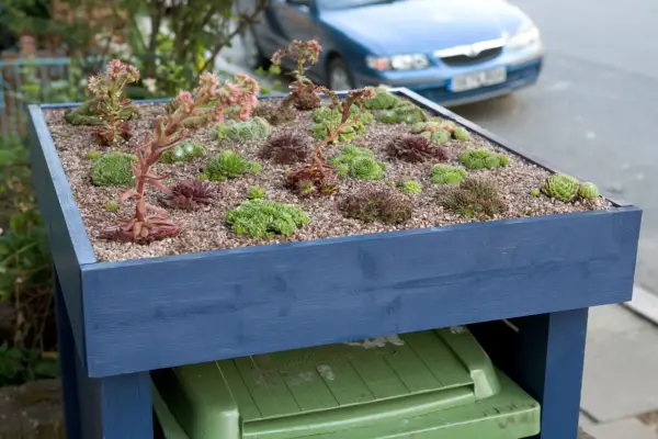 Wheelie bin cover with sempervivum planting