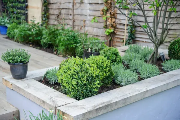 Contemporary raised bed