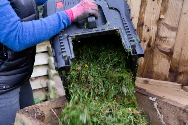 Adding grass cuttings to the compost bin