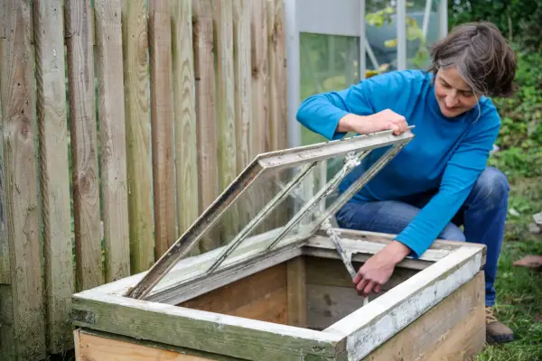 Cold frame in the garden