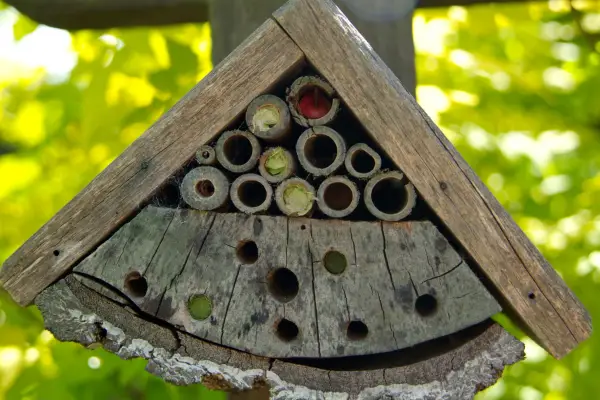 Simple wooden bee hotel with hollow bamboo stems