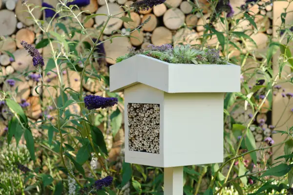 Bee hotel with green roof
