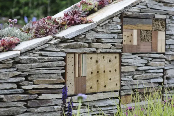 Drystone wall in garden with bee hotels incorporated into the structure