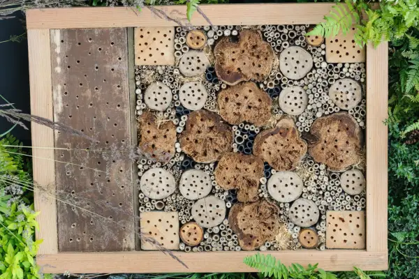 Picture frame-style bee hotel with drilled logs and hollow stems