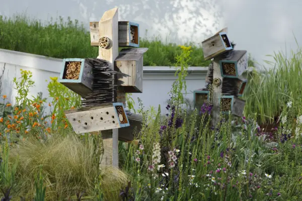 Posts supporting a variety of bee hotels, amongst flowering plants