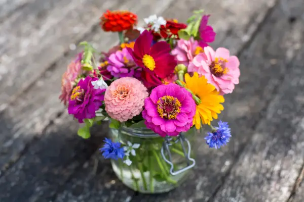 A posy of cut flowers in a jar