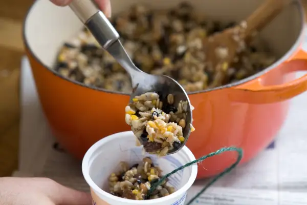 Making fat cakes for birds