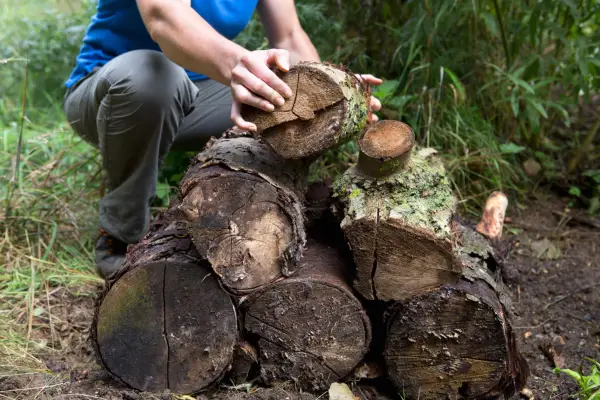 Placing logs into a stack