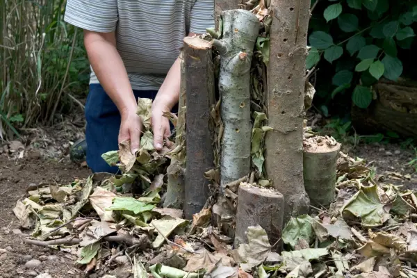 Making a stumpery of vertical logs, ends embedded into the earth, surrounded by loose leaves