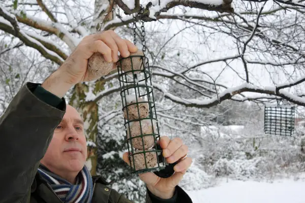 Feeding birds in winter