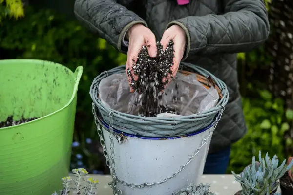 Resting a hanging basket on a metal bucket whilst planting
