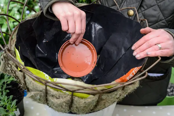 Placing a small plastic saucer in the base of a hanging basket before planting as a water reservoir
